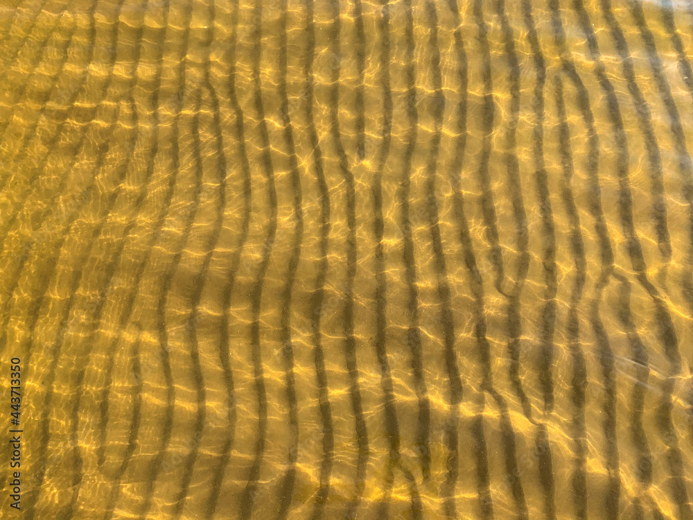 Fototapeta premium The rippled sandy seabed in a shallow bay under the sun's rays creates an unusual structure and pattern. The golden sands of the Baltic coast of the resort of Narva in Estonia. Close-up pattern