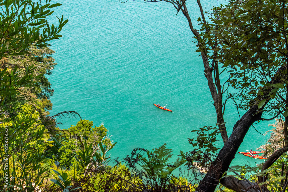 Φωτογραφία Kayaking at the coast of famous Abel Tasman National Park, New Zealand