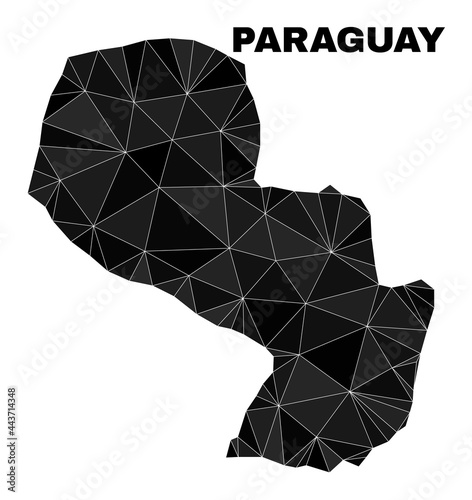 lowpoly Paraguay map. Polygonal Paraguay map vector filled of randomized triangles. Triangulated Paraguay map polygonal abstraction for political illustrations.