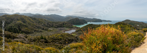Hiking the famous Abel Tasman National Park, New Zealand