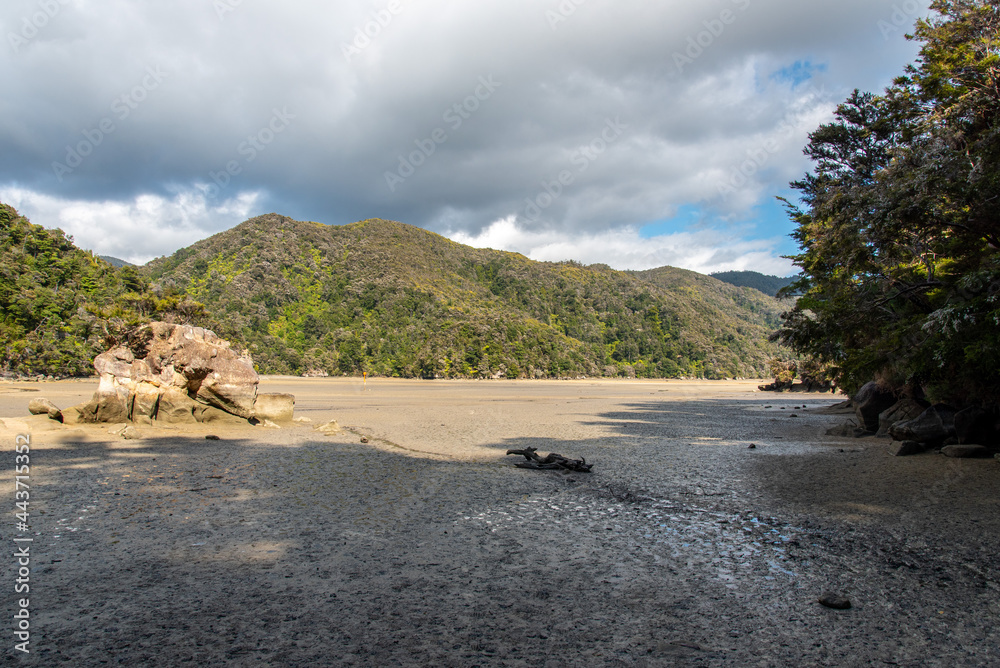 Torrent bay of Abel Tasman National Park in summer