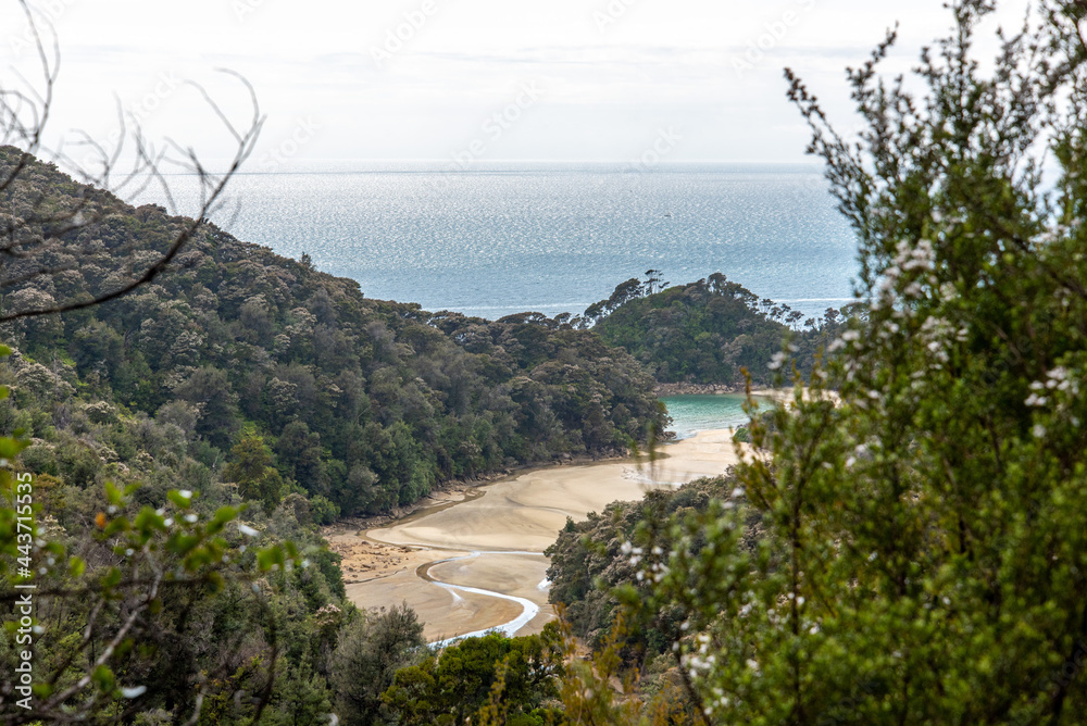 View of a bay in Abel Tasman National Park in summer
