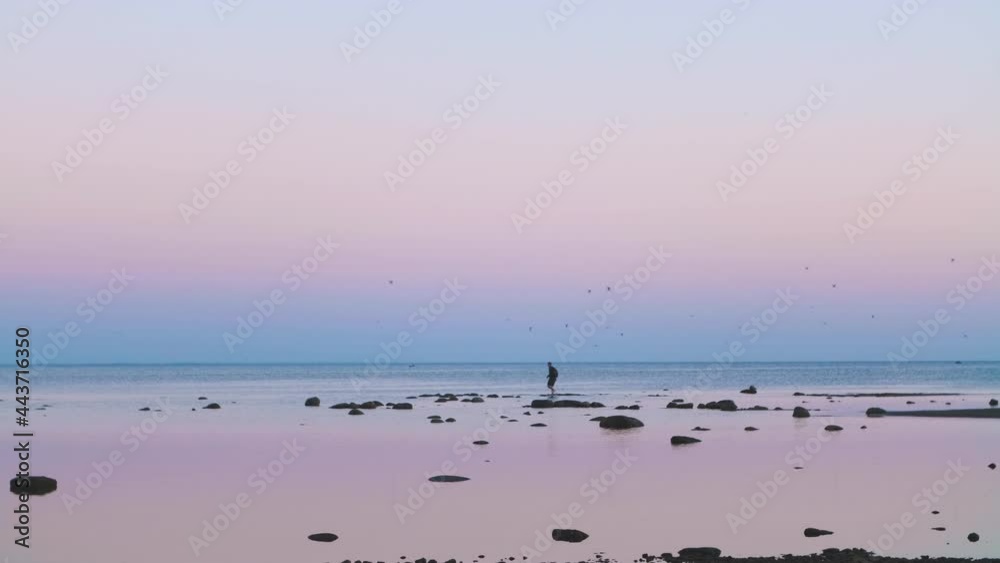 flock of birds flying over a man walking in shallow water that looks like a mirror you can see your reflection. It is getting dark after sunset. Small rocks and dark horizon flock of birds flying over a man walking in shallow water that looks like a mirror you can see your reflection. It is getting dark after sunset. Small rocks and dark horizon