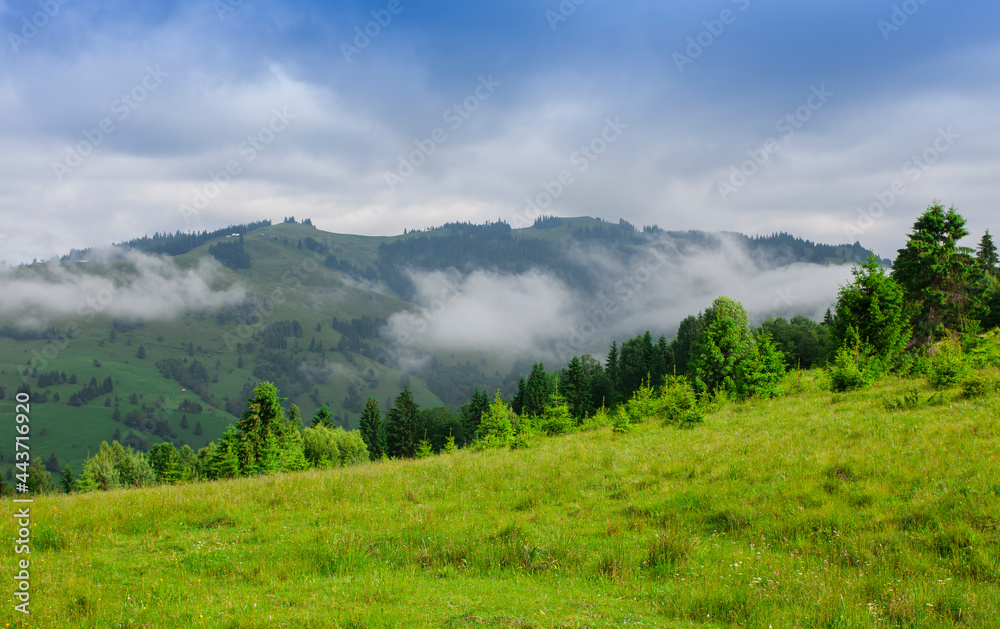 Stanisoarei mountains in Romania, summer landscape after rain