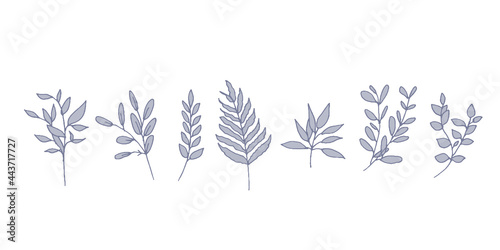 線画タッチ手書きの草木のベクターイラスト　Set of floral elements for graphic and web design. Vector illustrations for beauty, 