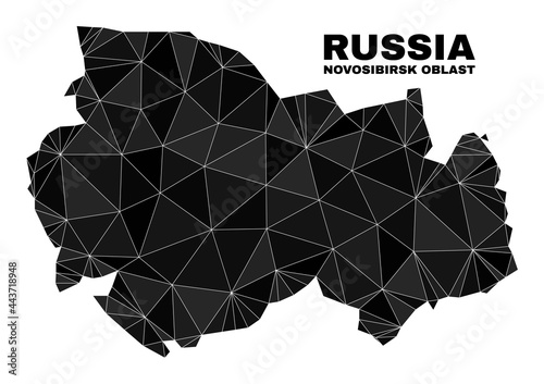 lowpoly Novosibirsk Region map. Polygonal Novosibirsk Region map vector filled from chaotic triangles. Triangulated Novosibirsk Region map polygonal abstraction for education templates.