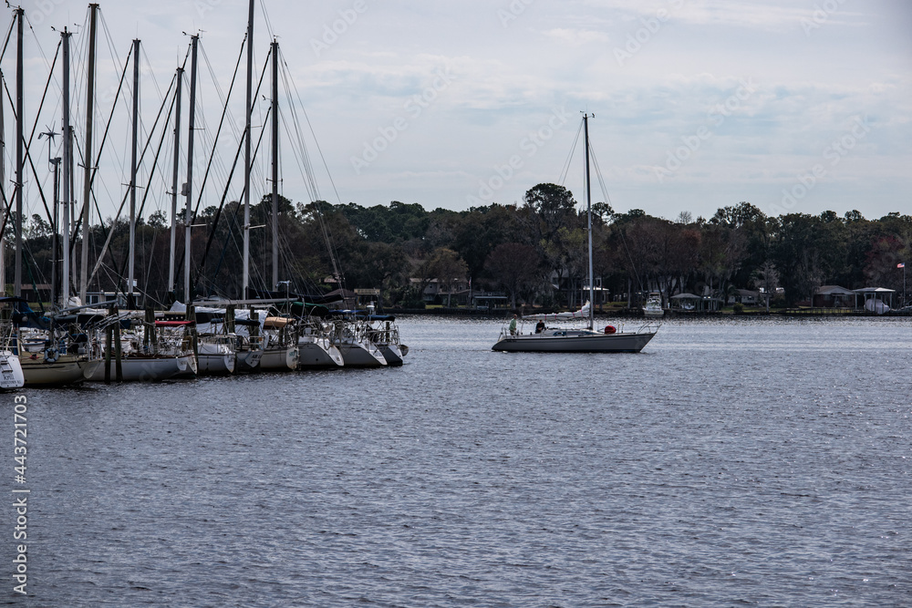 Fototapeta premium Sailing from the Marina