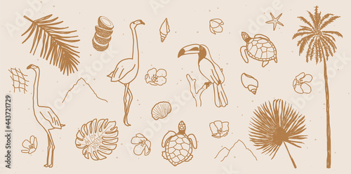 Vector set of hand drawn tropical elements for social media and web / logo design. 