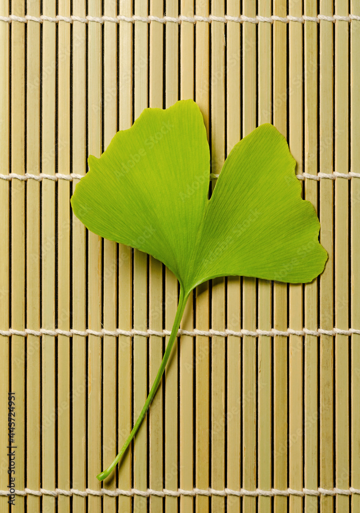 Gingko Leaf Example Single ginkgo leaf on a bamboo mat. Ginkgo biloba, also known as gingko ...