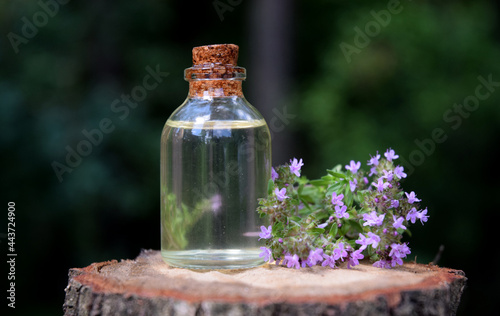 Thyme aroma oil bio organic