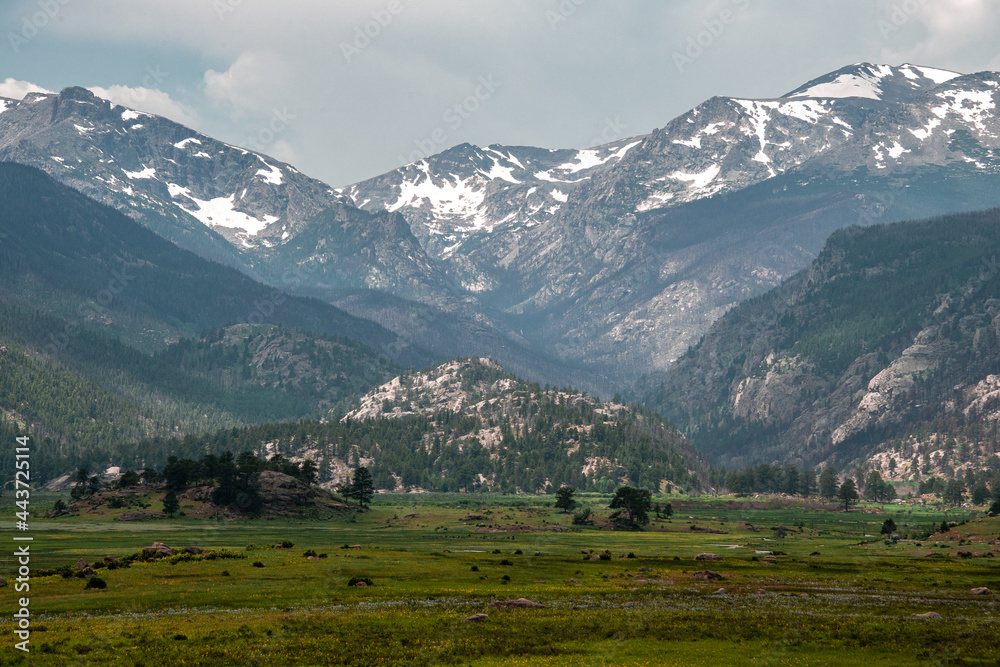View of a mountain valley with a meadow in Rocky Mountain National Park, Colorado. The mountain peaks have snow and the meadow has trees and other greenery.
