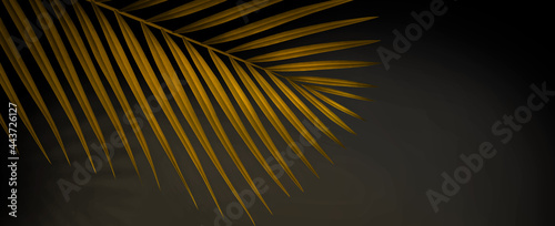 Luxury summer background with copy space. 3d illustration of tropical palm branch.