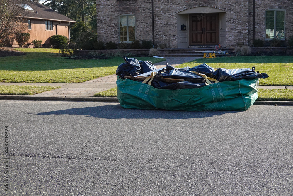 Foto de Full soft sided green dumpster bag on the side of a residential