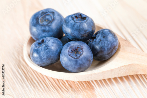 large blueberries