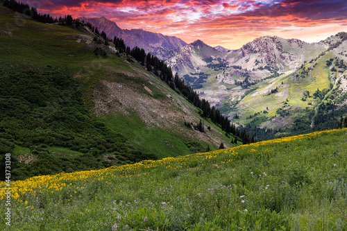 Canvas Print Alta Albion Basin Meadows sunset