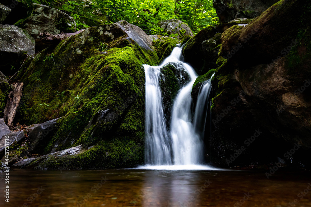 Naklejka premium Scenic Dark Hollow Falls at Shenandoah National park in summer