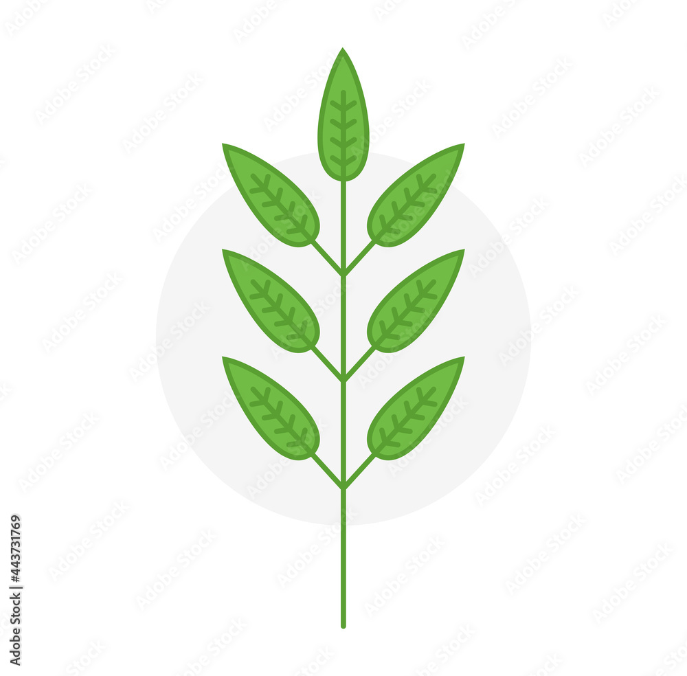Vector green leaves. Isolated vector illustration Vector green leaves. Isolated vector illustration