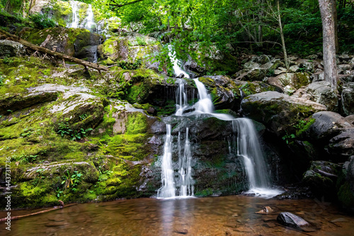 Fototapeta Naklejka Na Ścianę i Meble -  Scenic Dark Hollow Falls at Shenandoah National park in summer