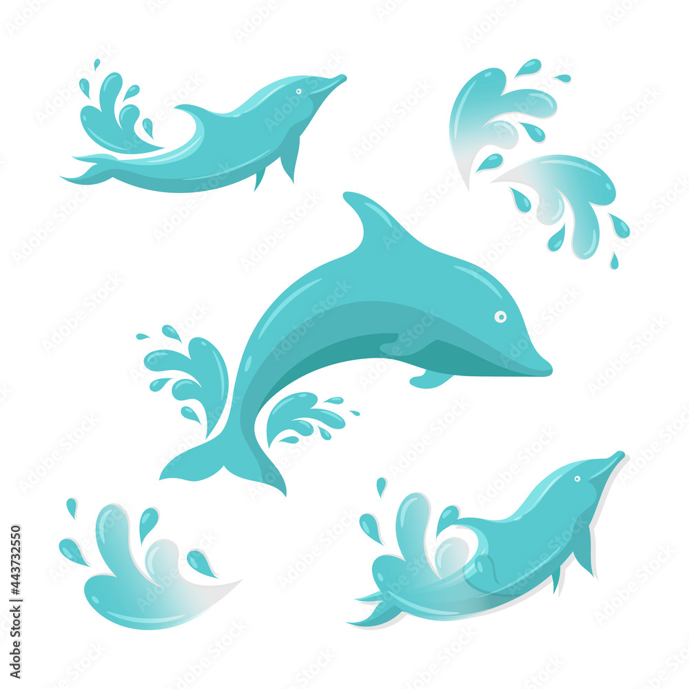 Fototapeta premium Cute dolphin with water splash vector illustration, simple flat design
