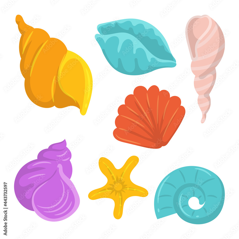 Colorful clams shell collections, simple flat design, isolated on white background