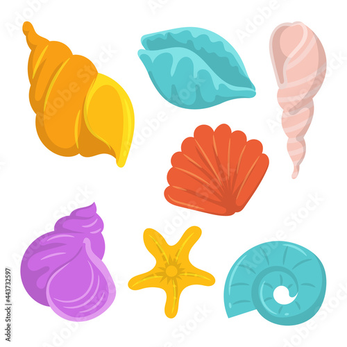Colorful clams shell collections, simple flat design, isolated on white background © Astira