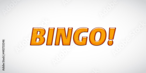 bingo, text design. Vector calligraphy. Typography poster. Usable as background.