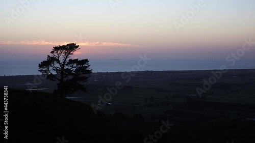 Wide sunrise time lapse of silhouette of tree with Papamoa town and beach in background. Shot from top of Papamoa hills, Tauranga, New Zealand photo