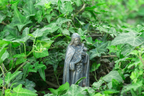 Virgin Mary surrounded by vines stems on a garden