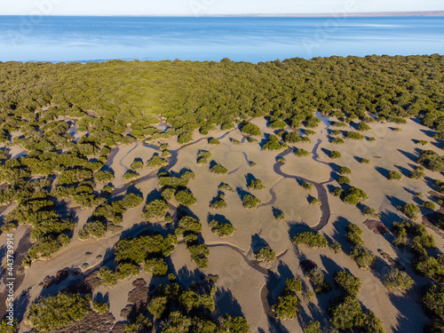 Marshland meets Port Wakefield in South Australia.