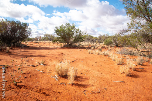 The amazing colours and textures of the Australian desert near Roxby Downs, South Australia. © MK3 Design