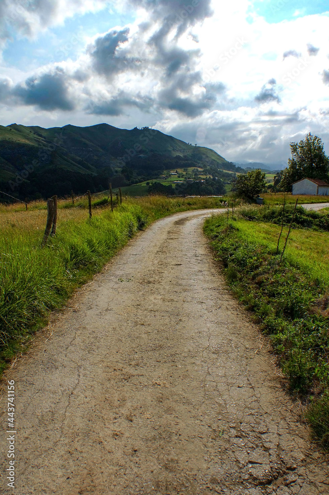 Fototapeta premium camino de montaña