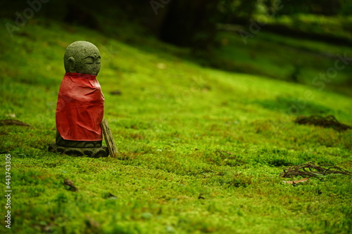 japanese moss garden of Jakkoin, Kyoto