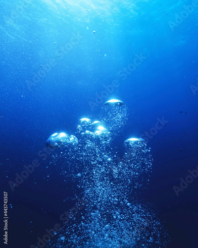 Photos underwater scene with reef