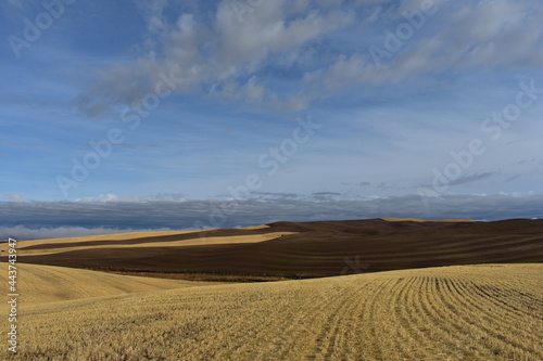 landscape with clouds