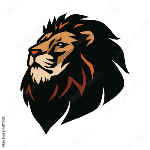 Fototapeta Naklejka Na Ścianę i Meble -  Lion Head Vector Sports Mascot Logo Design Illustration