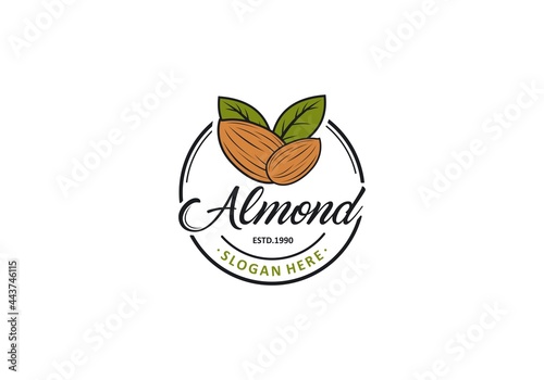 Almond logo template. vector in white background