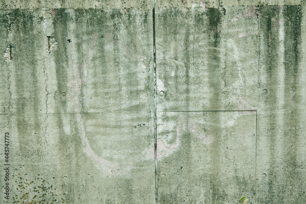 Obraz premium texture wall paint 