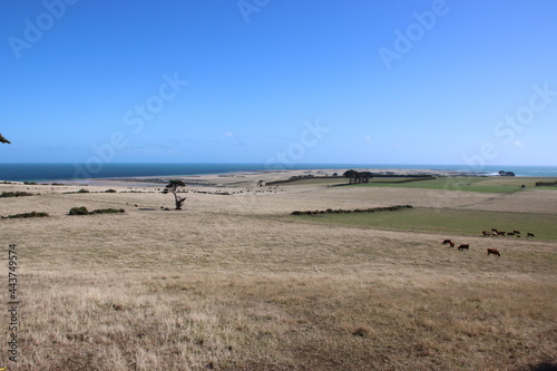 Rural scene near the town of Stanley, north-west Tasmania, Australia.