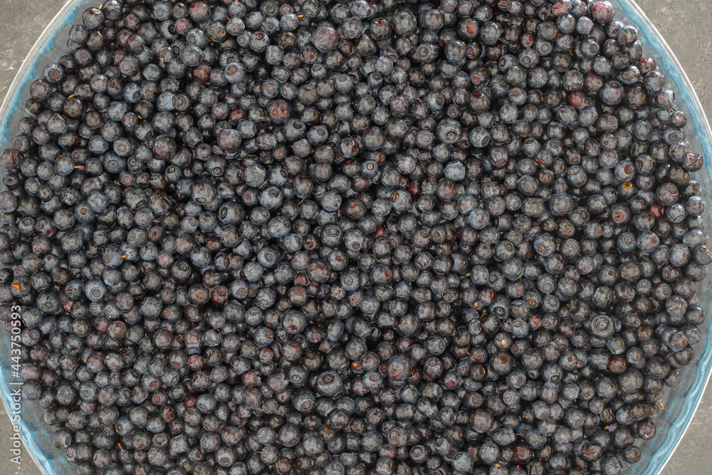 Surface covered with a layer of wild forest blueberry, close up Surface covered with a layer of wild forest blueberry, close up
