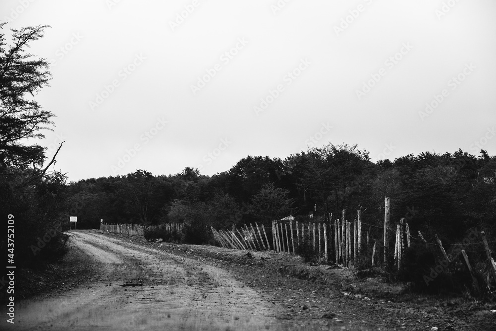 Dirt road with an old wood fence in the woods in a cloudy day, Chilean Patagonia (in black and white)