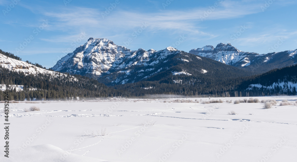 winter view of abiathar peak from near pebble creek in the northeastern section of yellowstone national park