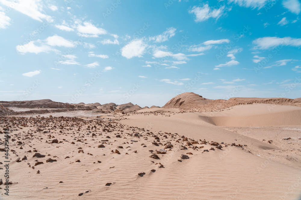 sand dunes in the desert