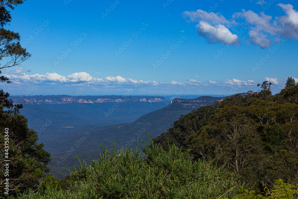 オーストラリア　ニューサウスウェールズ州のブルー・マウンテンズ国立公園の風景