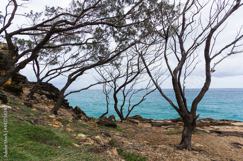 オーストラリア クイーンズランド州のノース・ストラドブローク島のノース・ゴージ・ウォークから見える海