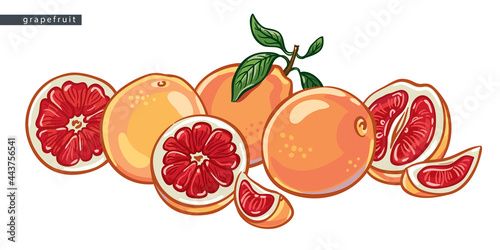 sketch_grapefruit_a_big_pile_of_fruit