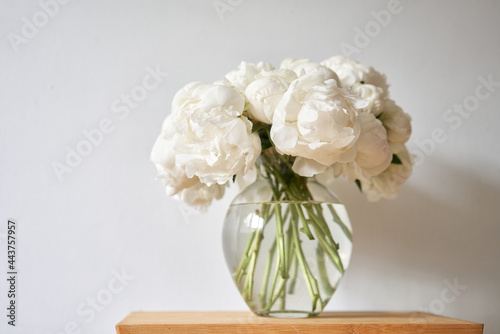 Fototapeta Naklejka Na Ścianę i Meble -  White peonies in a glass vase. Beautiful peony flower for catalog or online store. Floral shop concept . Beautiful fresh cut bouquet. Flowers delivery