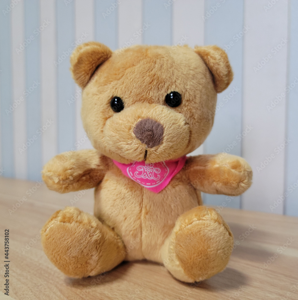 Obraz premium Teddy bear