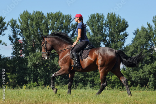 Young woman riding horse in summer forest . Equestrian sport - dressage