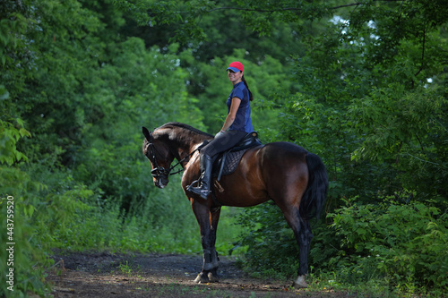 Young woman riding horse in summer forest . Equestrian sport - dressage