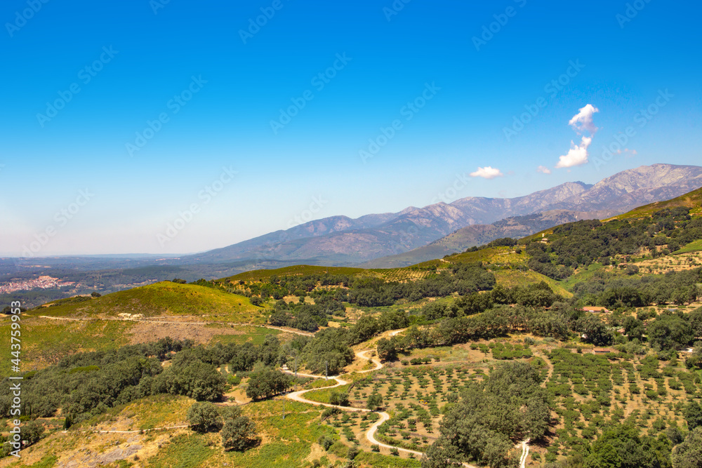 Obraz premium Mountain landscape with green tree crops.